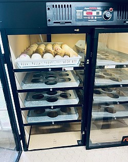 Incubation in Pennsylvania rcom